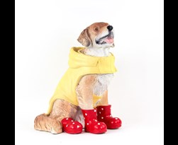 bp hond gele jas in schoenen