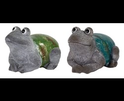 magic frog (ass.kleuren)