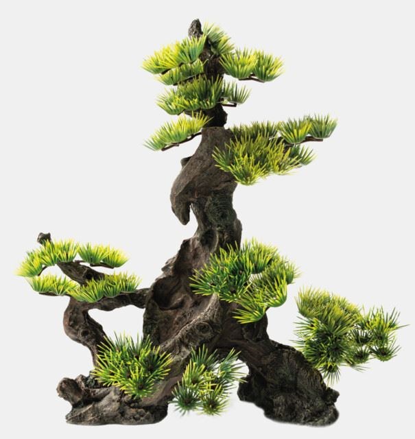 superfish deco bonsai xxl Tuincentrum Pelckmans