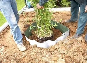 plantex wortelbegrenzer racibloc (325 g/m²)