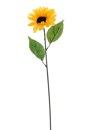 single sunflower yellow