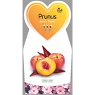 patiofruit-perzik-rubira-