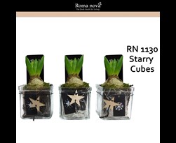 arrangement hyacint 