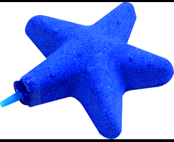uitstromer starfish