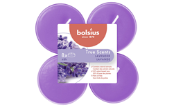 bolsius maxilichten clear cup true scents lavendel (8sts)