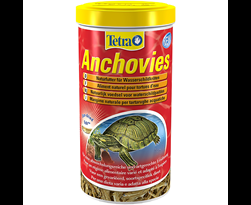 tetra anchovies
