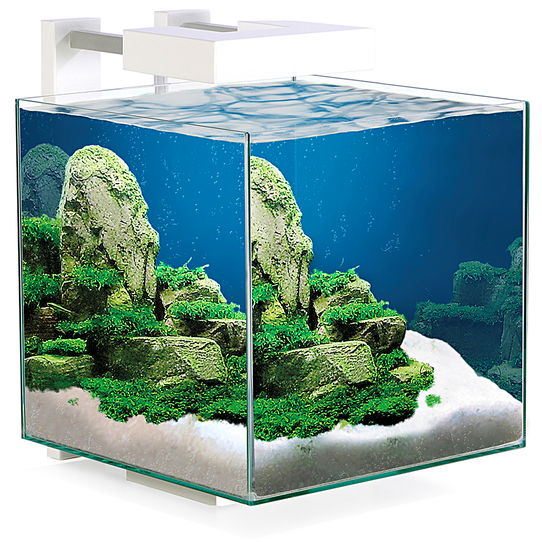 ciano aquarium nexus pure 15 led Tuincentrum Pelckmans
