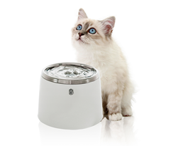 cat it ca 2.0 drinkfontein stainless steel top