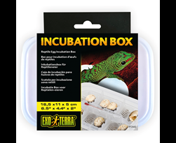 exo terra incubatie box voor reptielen eieren