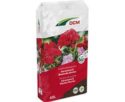 dcm potgrond geraniums & bloeiende planten bio
