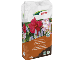 dcm potgrond terrasplanten & mediterrane planten bio