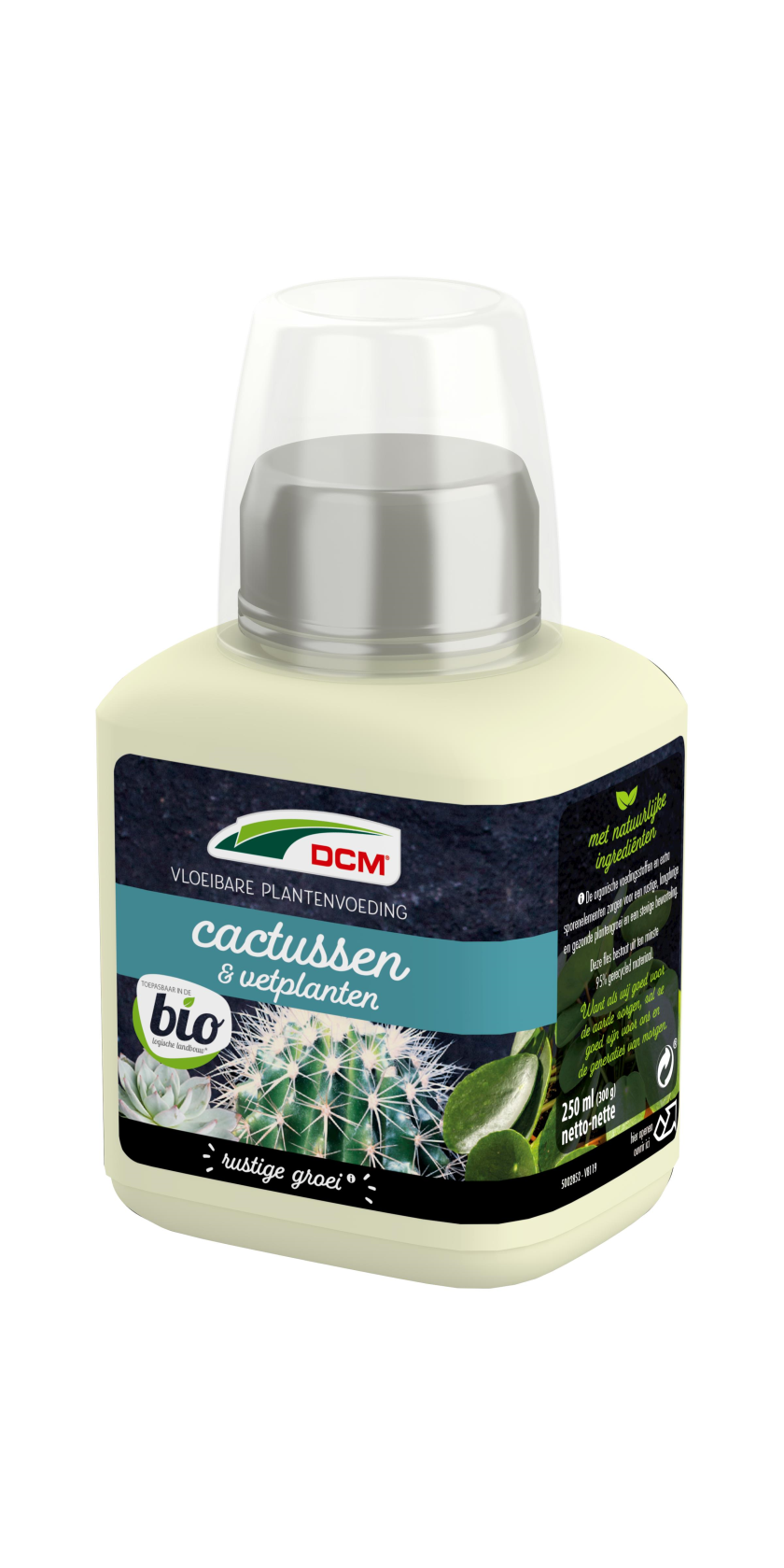 Bemest cactussen: De perfecte bemesting voor de cactus