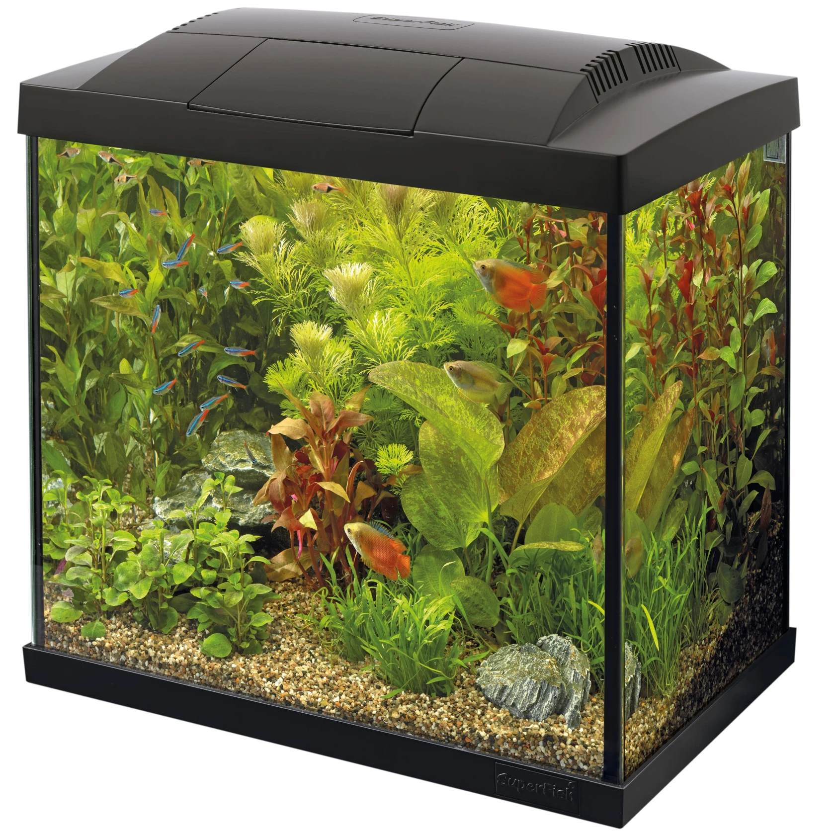 Juwel aquarium Vision 260 LED met filter zwart Juwel Gebr. de Boon Juwel aquarium Vision 260 LED met filter zwart Juwel Gebr. de Boon