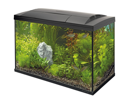 Craftsboys 5.5L Aquarium-Starter-Kits, Nano-Glas-Aquarium mit Filter, LED-Licht für Aquascape DIY kleines Betta-Fischbecken Craftsboys 5.5L Aquarium-Starter-Kits, Nano-Glas-Aquarium mit Filter, LED-Licht für Aquascape DIY kleines Betta-Fischbecken