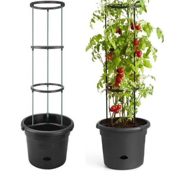 versieren koepel komen elho green basics tomaten pot living black - Tuincentrum Pelckmans