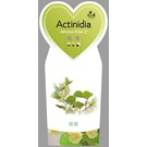 actinidia-deliciosa-atlas-mannelijke-kiwi-