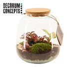 arrangement-gemengd-terrarium