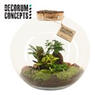 arrangement-gemengd-terrarium