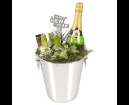 arrangement hyacint happy new year in champagnekoeler