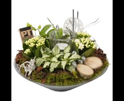 arrangement hyacint happy new year in glazen schaal