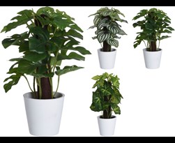artificial plant (3ass.)