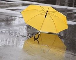 Regenbescherming & Paraplu