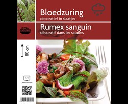 rumex sanguineus (bloedzuring)