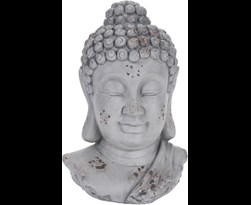 boeddha hoofd cement