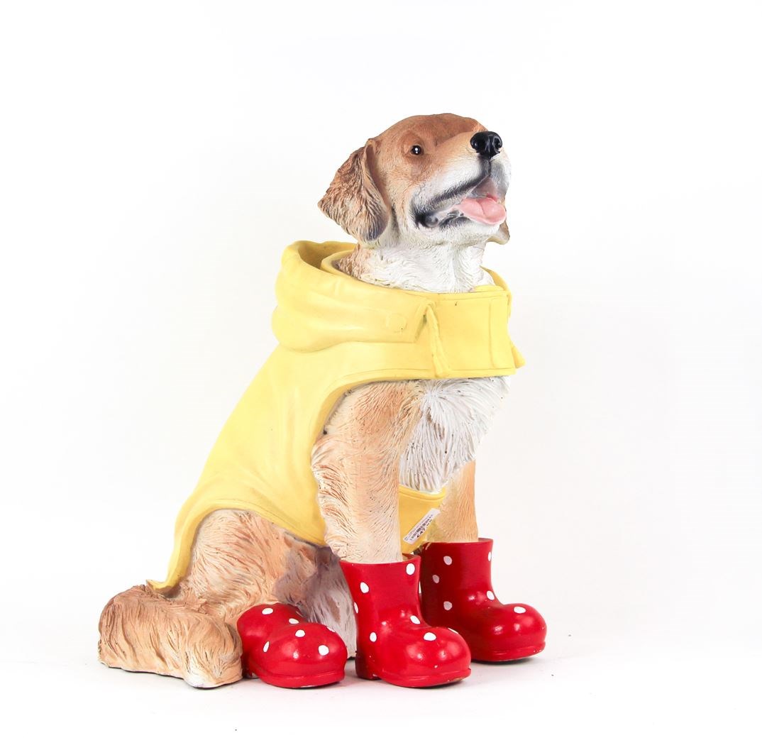 bp hond gele jas in schoenen - Pelckmans