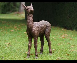 bronzen beeld - baby alpaca