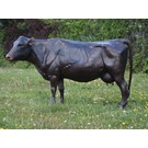                                                                              bronzen-beeld-grote-koe