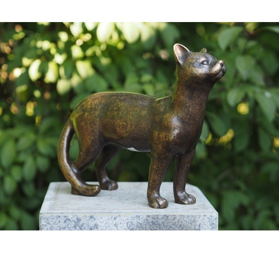 bronzen-beeld-kat