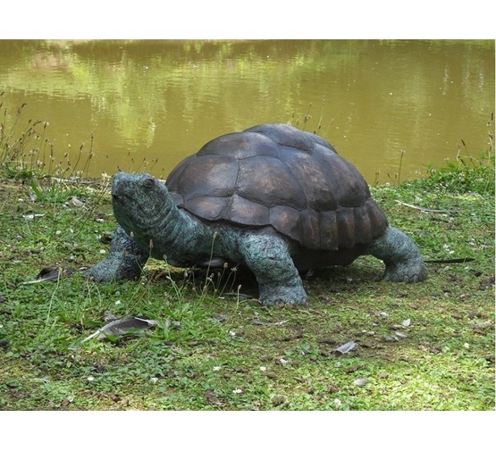 bronzen-beeld-schildpad