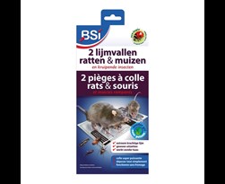 bsi lijmvallen voor muizen en ratten (2sts)