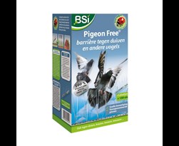 bsi pigeon free