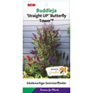 buddleja-butterfly-towers-