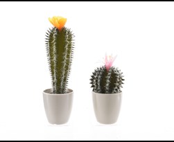 cactus groen plastic bloem (2ass.)