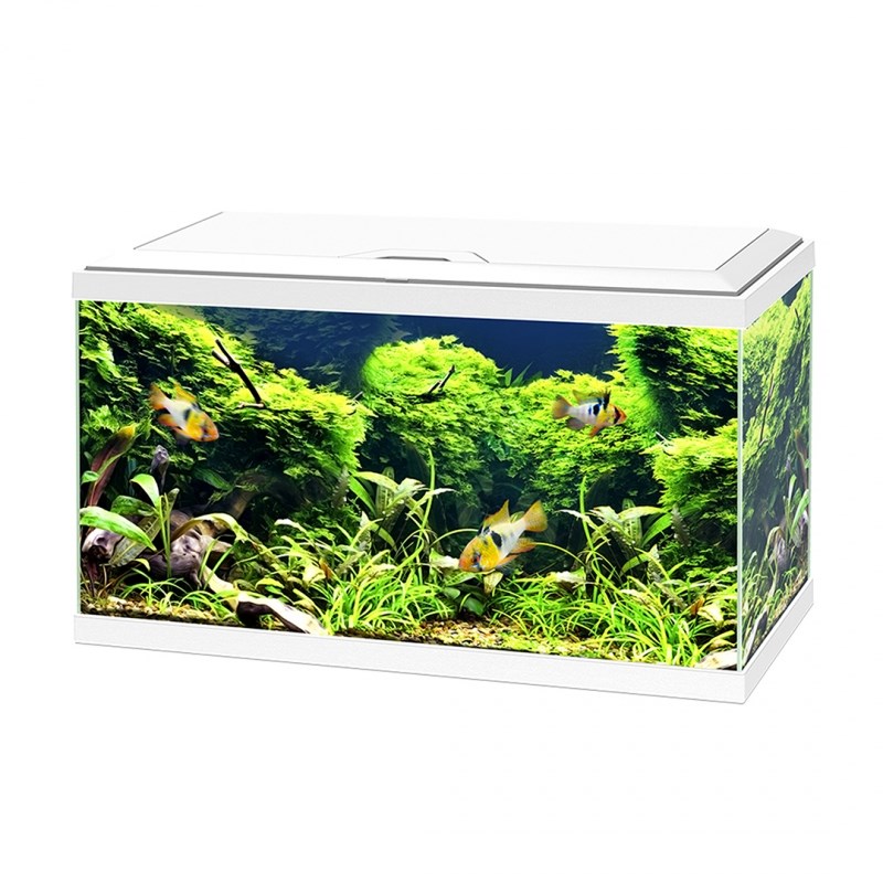 CIANO Aquarium Emotions Pro wastafel voor aquaristiek wit 60 CIANO Aquarium Emotions Pro wastafel voor aquaristiek wit 60