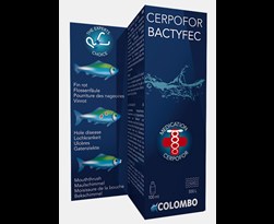 colombo cerpofor bactyfec