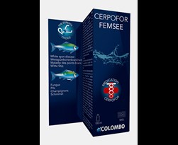colombo cerpofor femsee