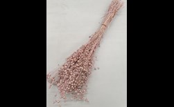 cp linum (vlas) parel roze (ca.50 g)