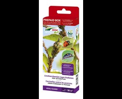 dcm naturapy® adali-guard - lieveheersbeestjes tegen de bladluizen in de sier- en groentetuin (prepaid box)