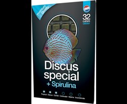 dutch select discus special