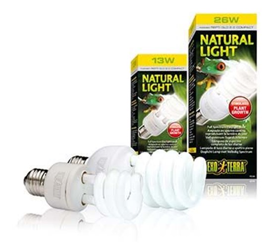 Exo Terra Reptile UVB 100, tropische terrariumlamp, compacte UVB-lamp voor tropische en subtropische reptielen, 25 W, fitting E27, wit Exo Terra Reptile UVB 100, tropische terrariumlamp, compacte UVB-lamp voor tropische en subtropische reptielen, 25 W, fitting E27, wit