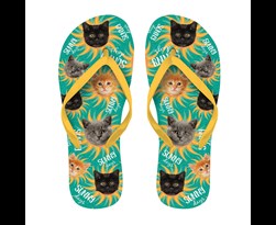 flip flops kittens