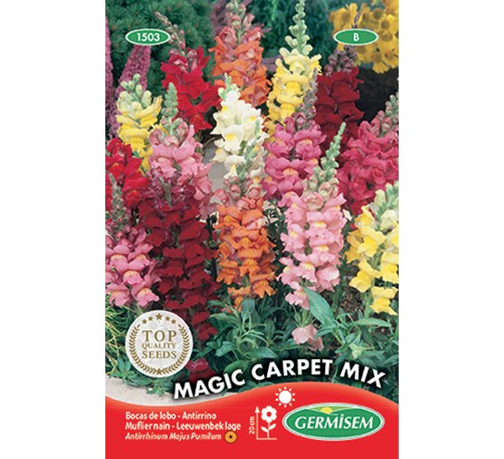germisem-antirrhinum-lage-magic-carpet-mixed