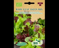 germisem bio mengeling baby leaf puur sla