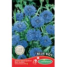 germisem-centaurea-korenbloem-blue-boy