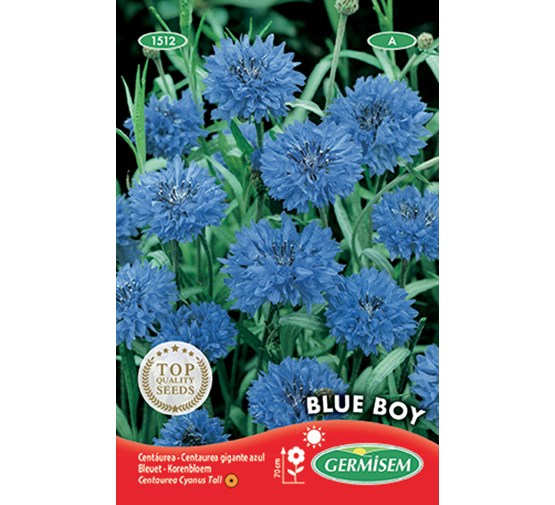 germisem-centaurea-korenbloem-blue-boy