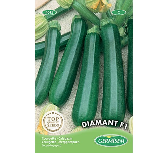 Graines de Courgette 'Eight Ball F1' - acheter en ligne Graines de Courgette 'Eight Ball F1' - acheter en ligne